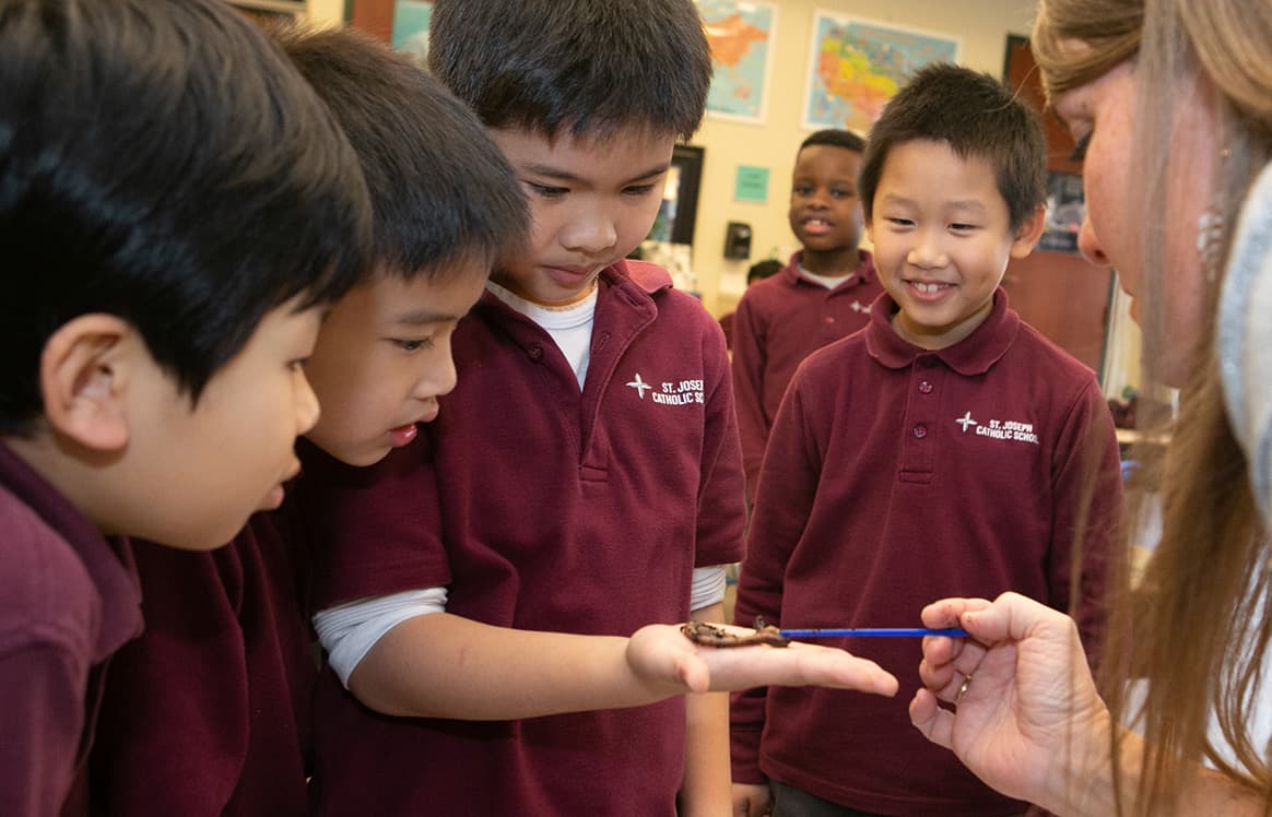 students looking at a worm